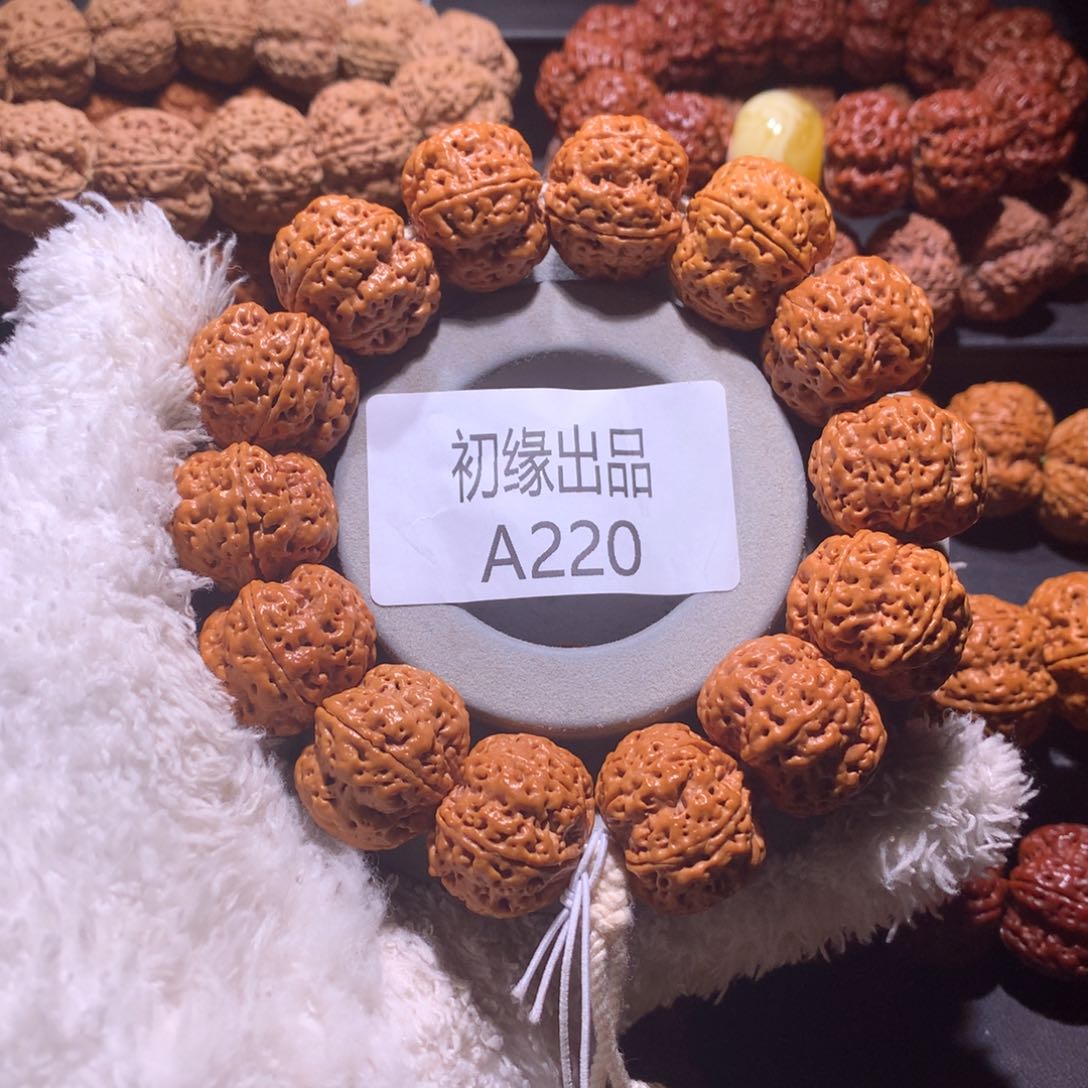 金刚菩提手串23尺九龙粗筋梅花定制