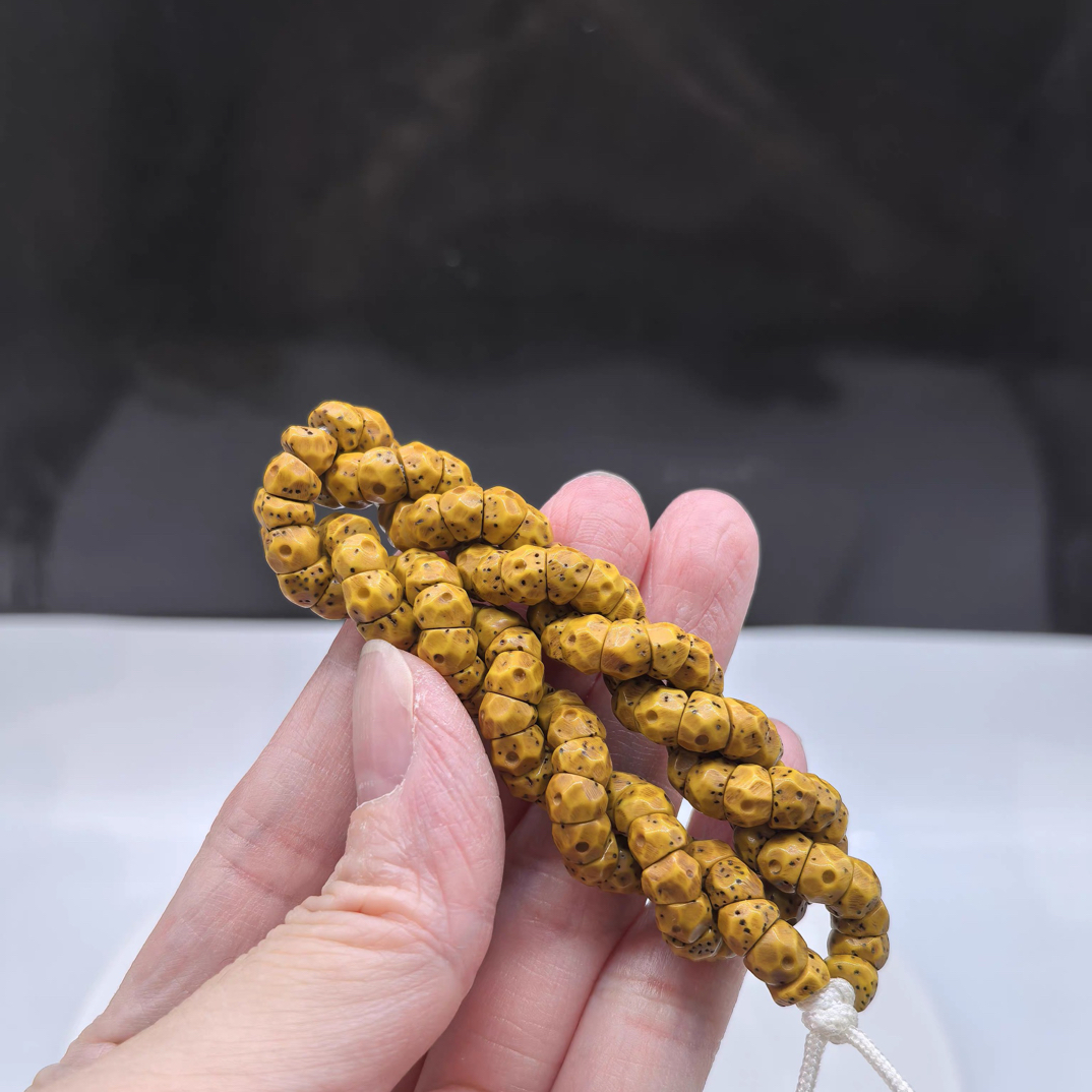 一步到位找星星原生态鸡油黄卡6机甲燃烧机大肠厚切海南同枝果108