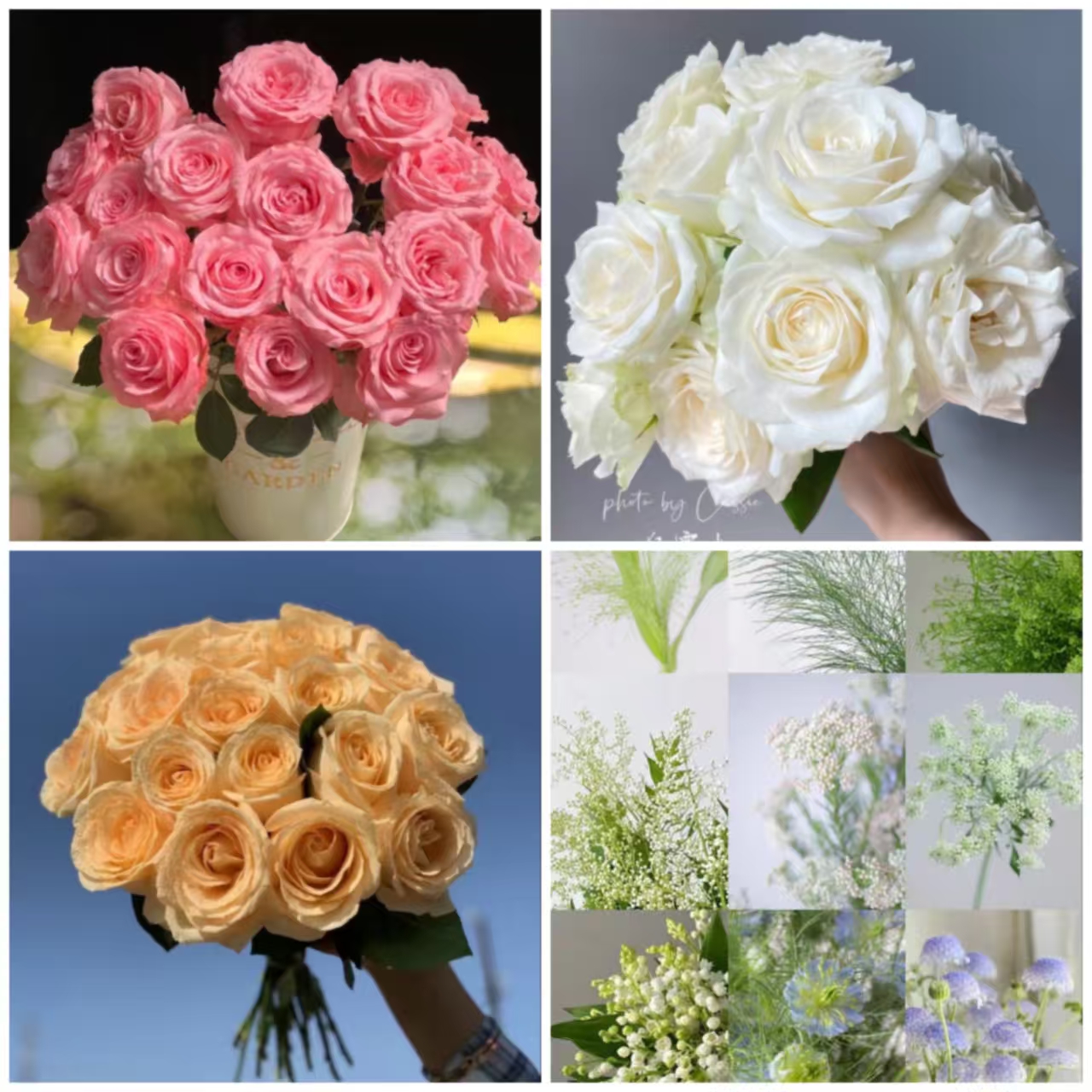 【白玫瑰+戴安娜+香槟+随机配草/配花】任意2单鲜花升级顺丰/德邦