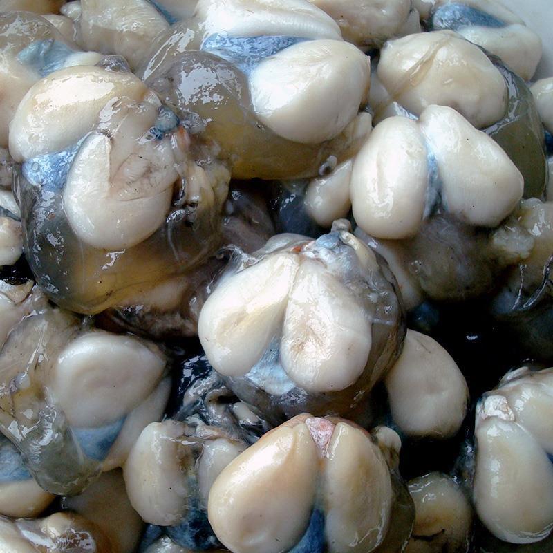 【3斤墨鱼蛋】东海小网海鲜东海野生海捕咸墨鱼蛋墨鱼双顺丰包邮