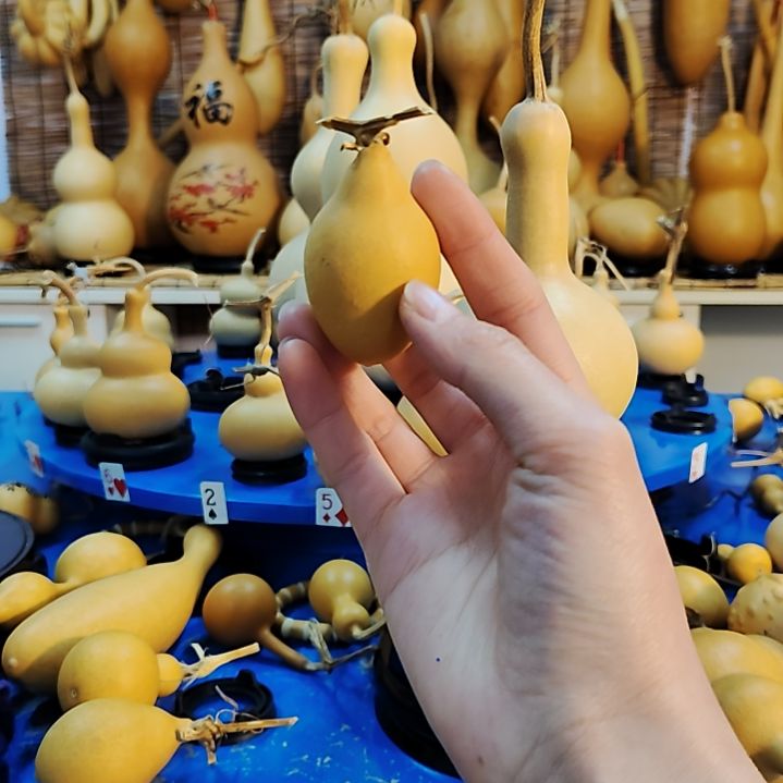 李*他他他他他他他他他他