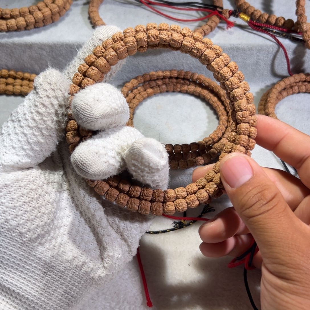 味***奶五爪金龙龙切佛手小金刚