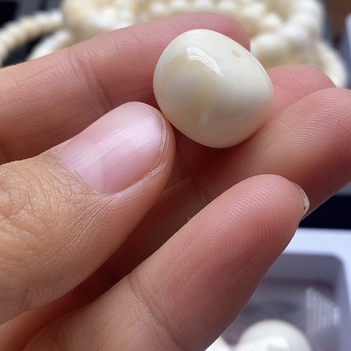 贝壳手串/手链16.9成12.0毫米车轮朱