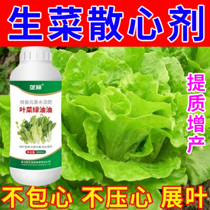 生菜专用散心剂防扭心不包心展叶剂防黄叶增绿提苗暴长生菜叶面肥