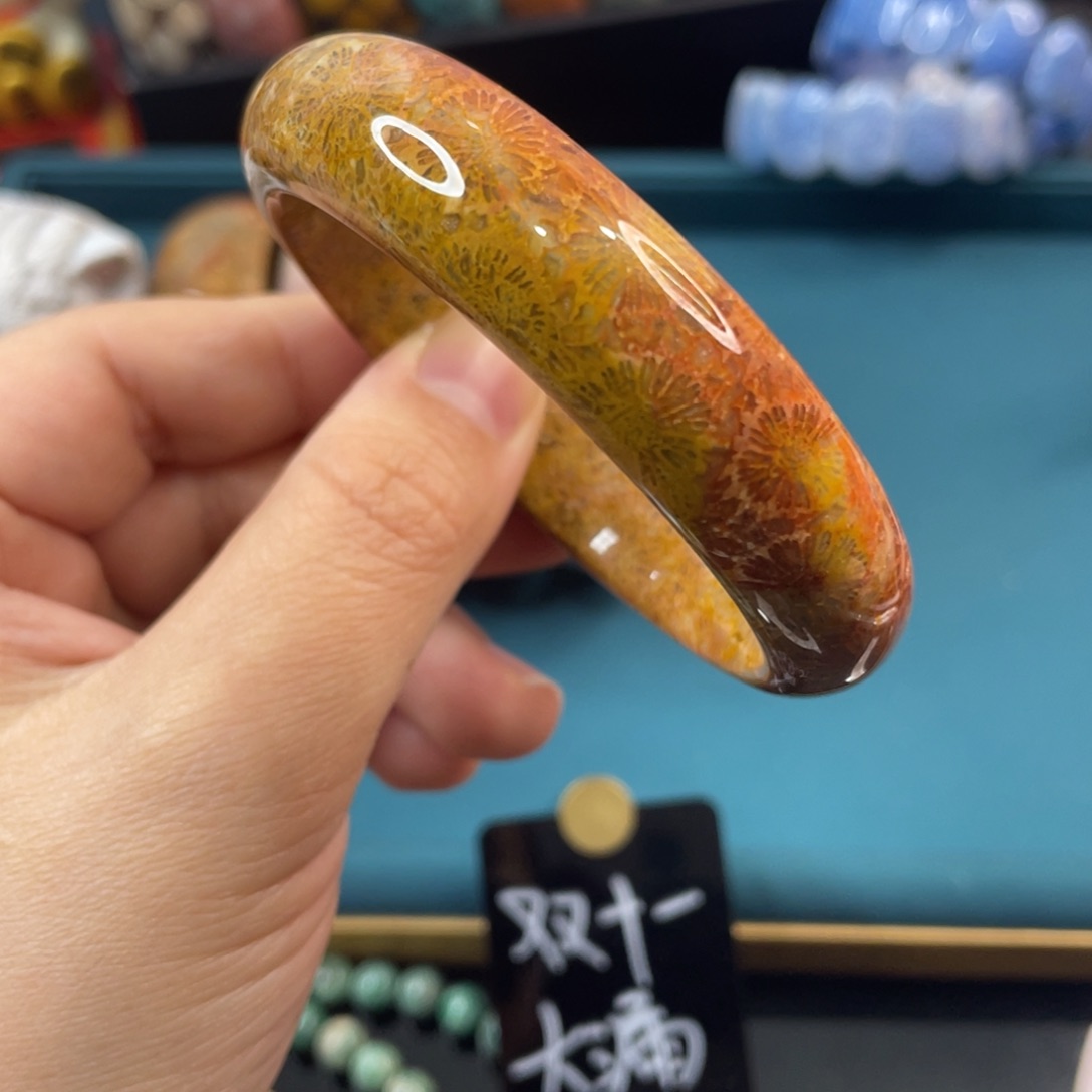 未镶嵌手镯硅化玉