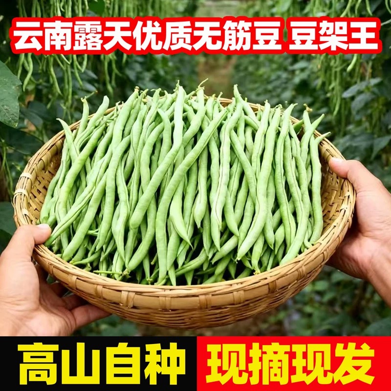 【露天头茬】无筋豆架豆王新鲜四季豆蔬菜高山露天农家种植应季蔬菜