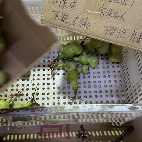 浩***海葫芦葫芦头等组成大红椒和干葱白