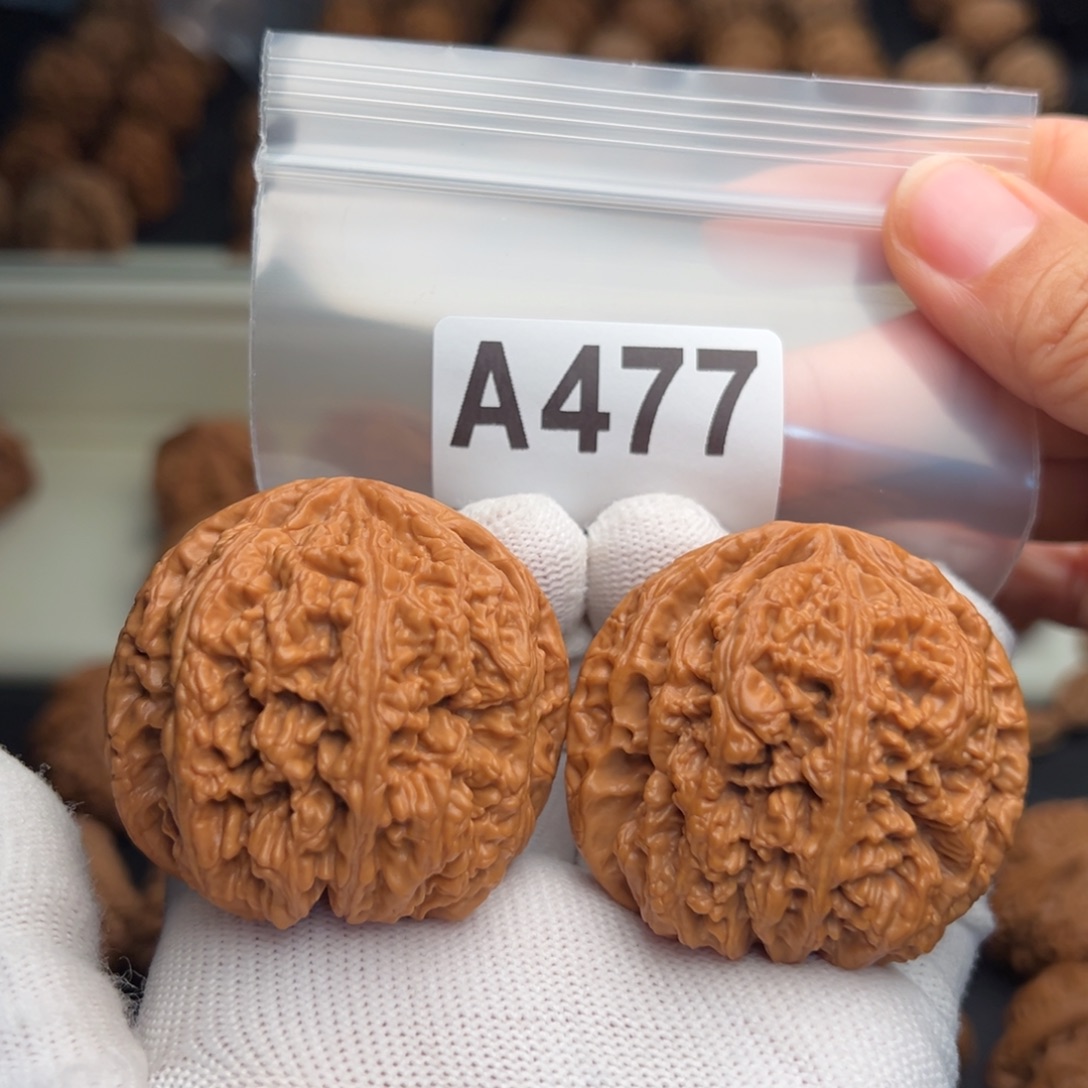 红***蹄文玩核桃手串A477粗筋48