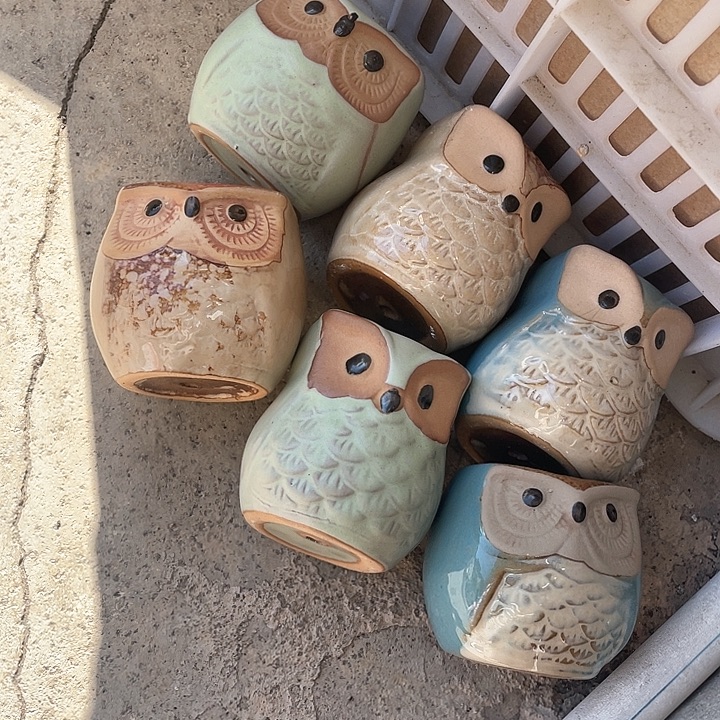 6件套拇指盆节日组合浮力炸