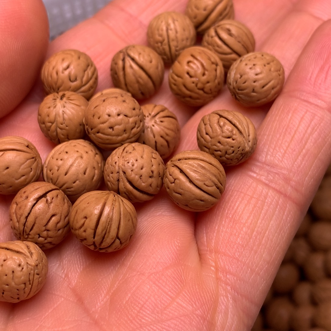 山****秦岭野生小馒头10尺寸