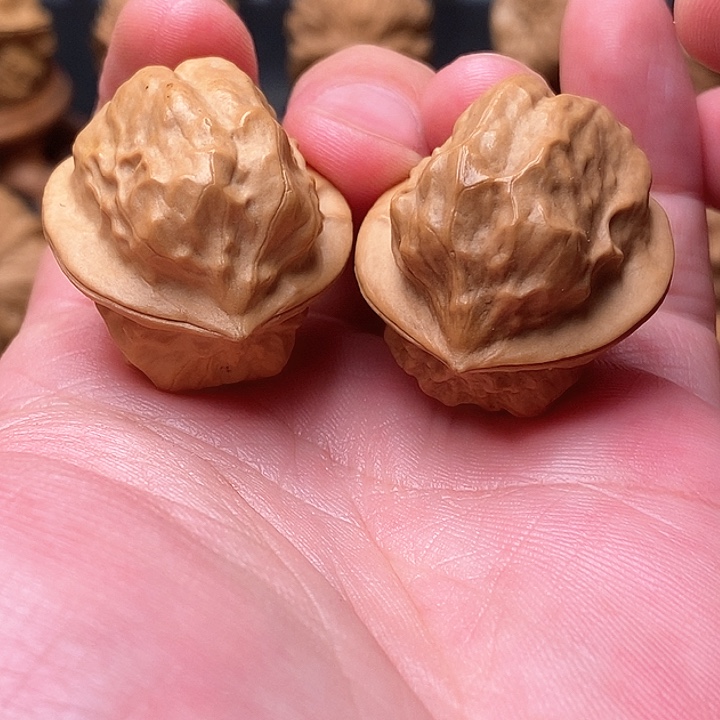 桃核把件甲壳虫……