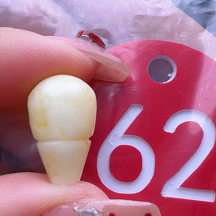 蜜蜡裸石未镶嵌微瑕 10.2mm三通