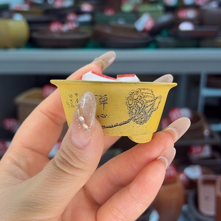 紫砂花盆可可爱爱小花盆