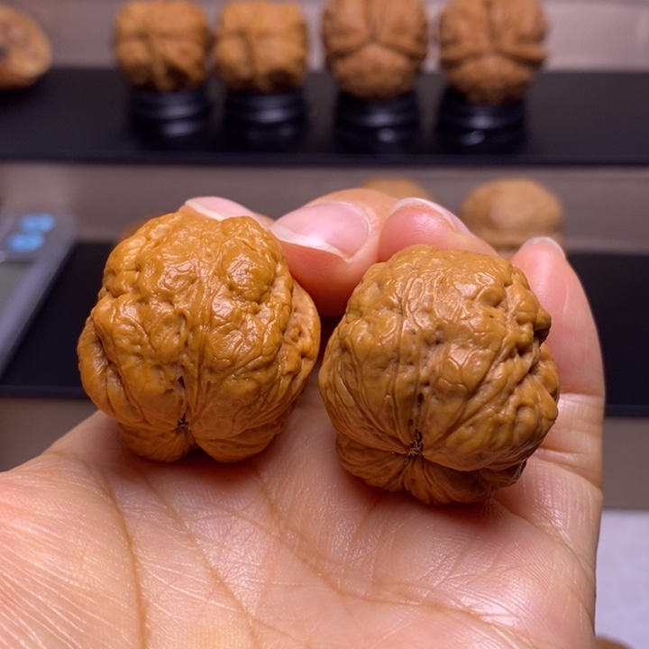 文玩核桃把件肌肉蟾14