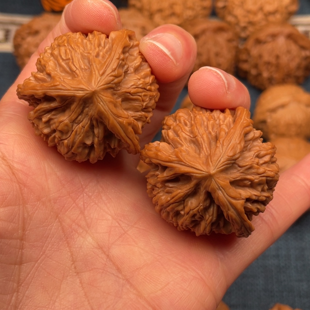 文玩核桃把件37全品毕业玉龙粗筋正球奔