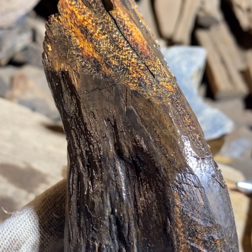 【闪购商品】手串贡木j***n私人订制