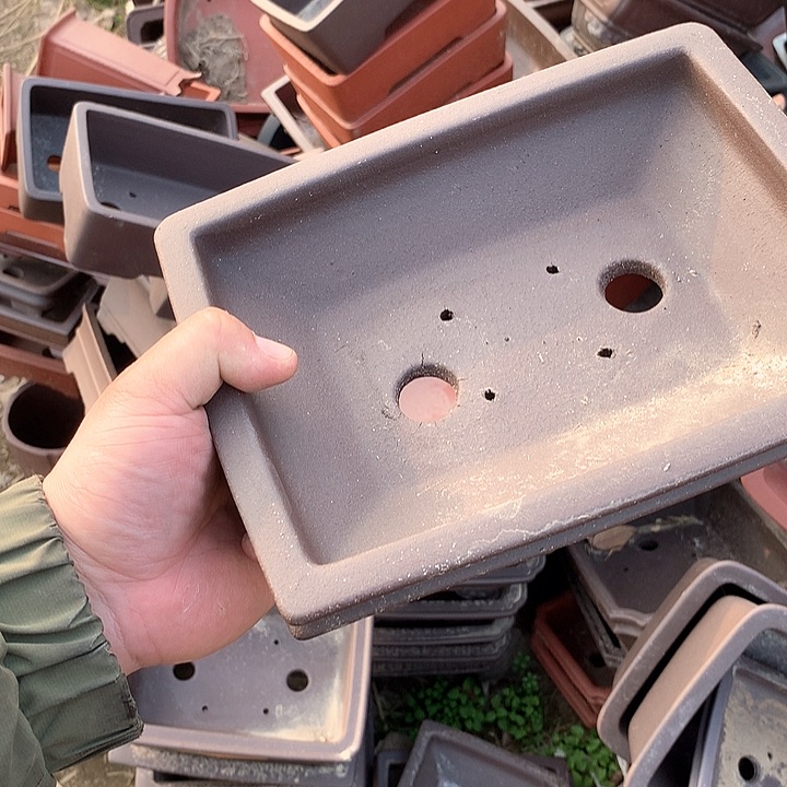 紫砂哈哈真的是太给力太