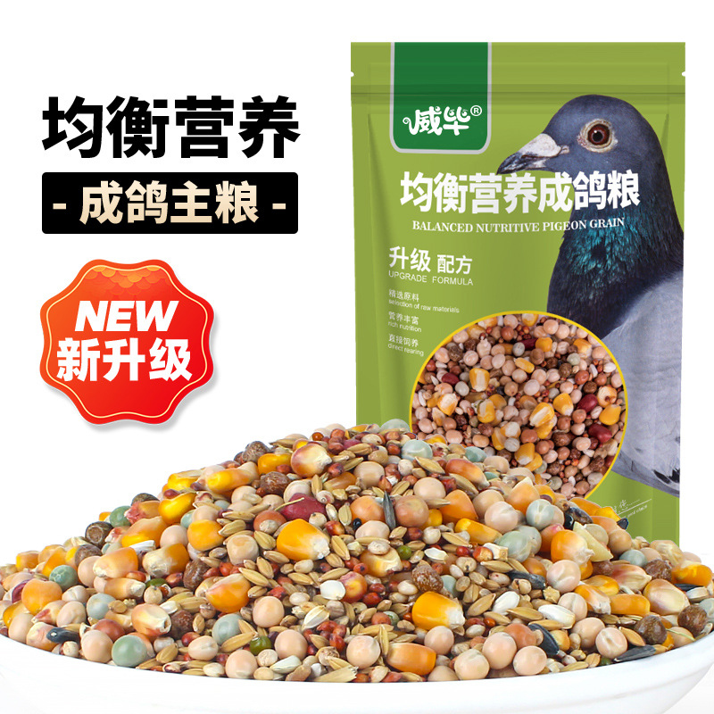 成年鸽粮营养鸽子饲料用品信鸽赛鸽种鸽带玉米小颗粒豌豆粮食鸟食