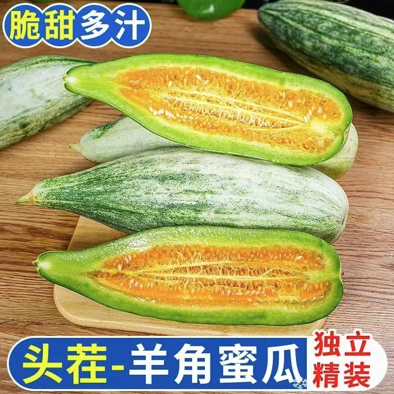 【爆甜现摘】 西双版纳头茬正宗羊角蜜新鲜采摘