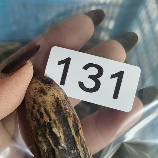 麦***师鹿角鹿角鹿角鹿角鹿角鹿角