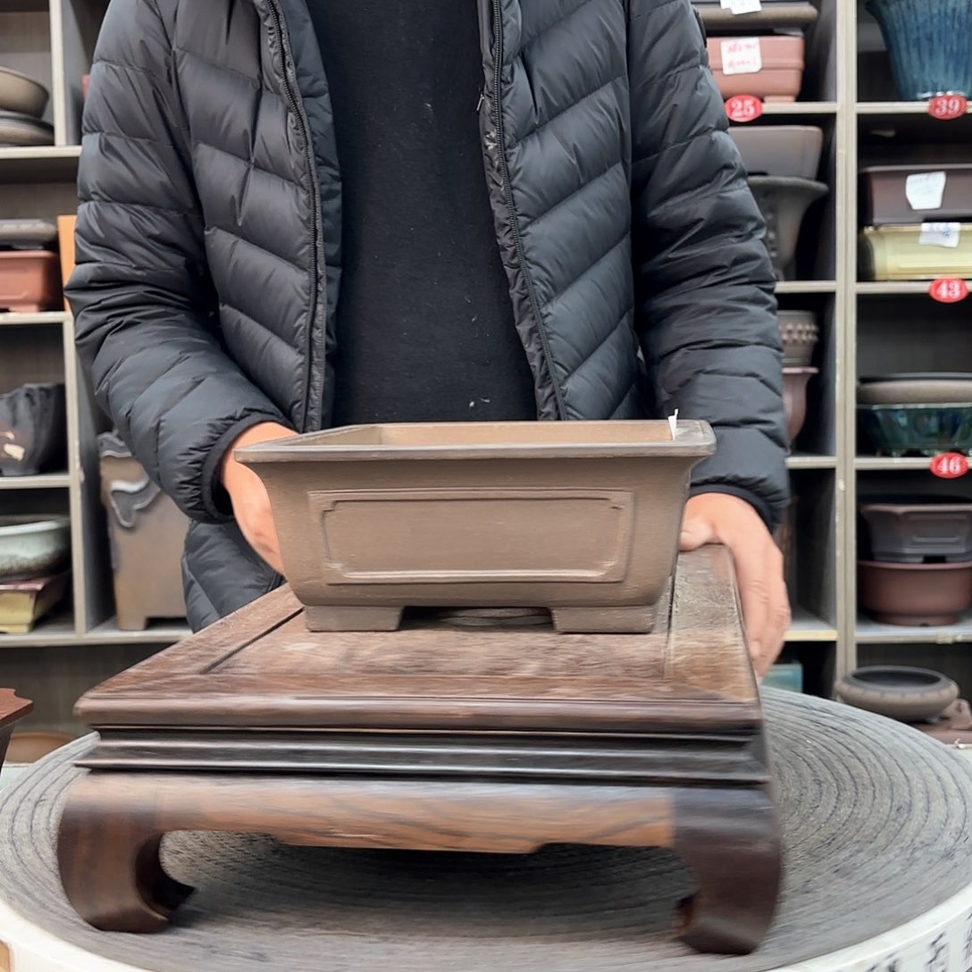 紫砂花盆星*紫砂的花也太