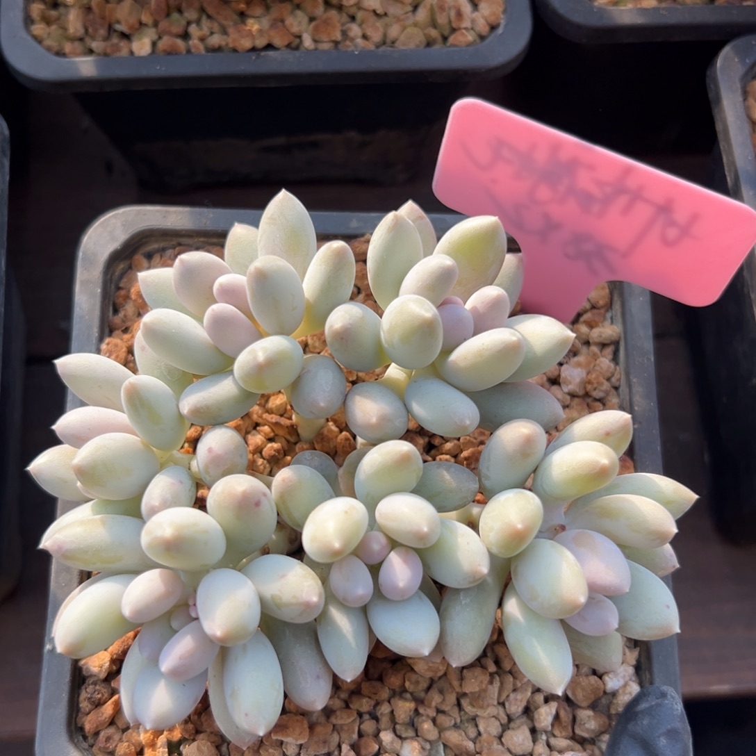 日月星辰111111111111111