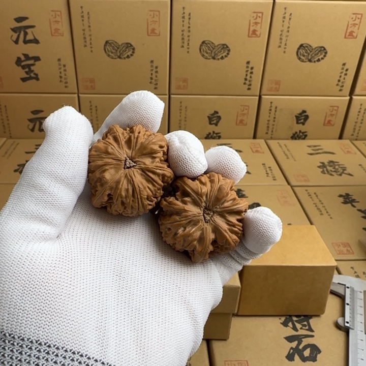 文玩核桃吊坠乌**黑简单包装玉龙三棱