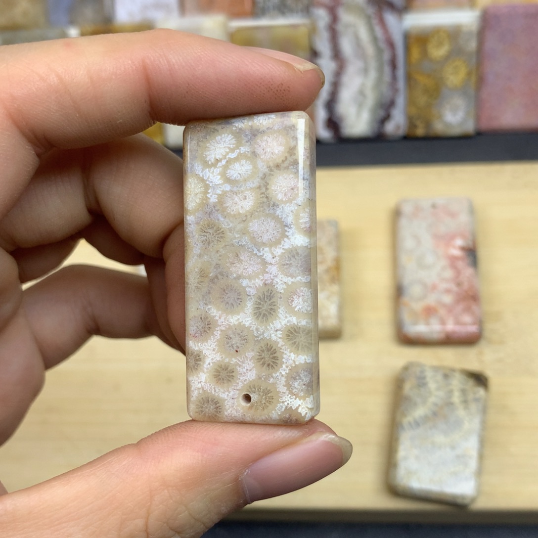 金***子硅化珊瑚（珊瑚玉）未镶嵌珠宝奇石