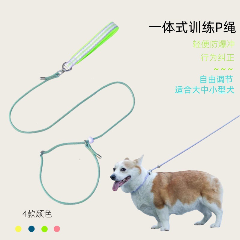新款宠物用品狗狗牵引绳一体式P绳不勒手防爆冲训练控制狗链