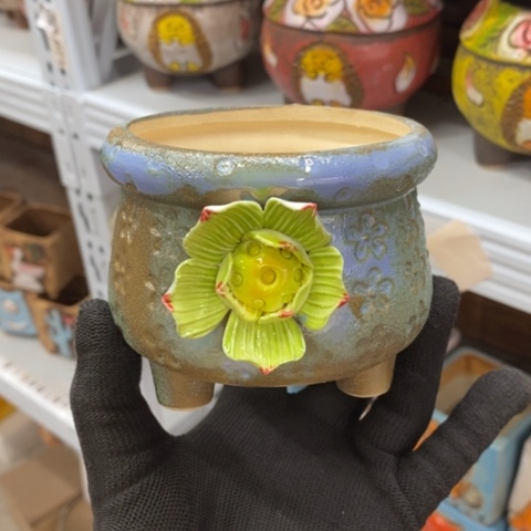 【闪购商品】红陶1