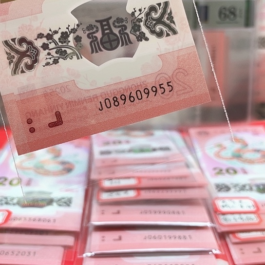 塑料小蛇钞089609955 至尊龙 金马王