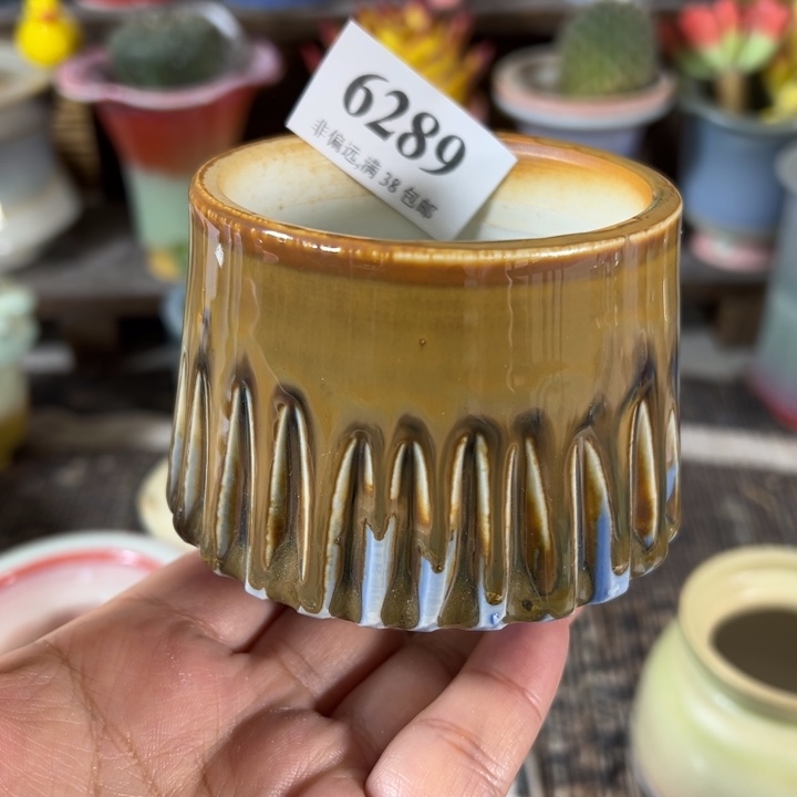 口6 未满30运费到付