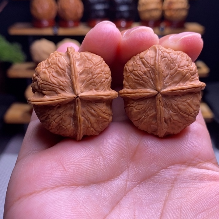 木质类云铁柿饼子四棱1号