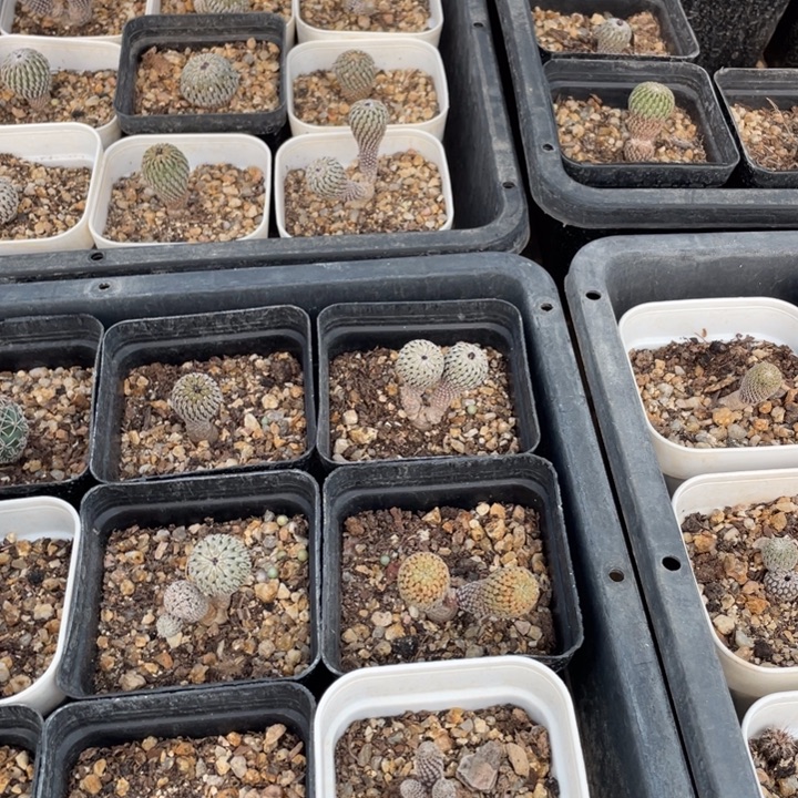 九***刘01500000000000000