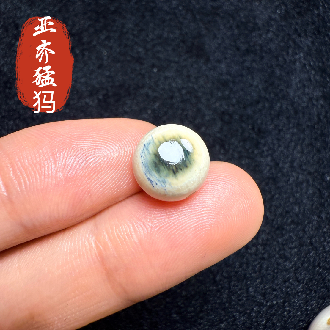 Y77猛犸象牙冰料蓝眼睛圆珠10mm