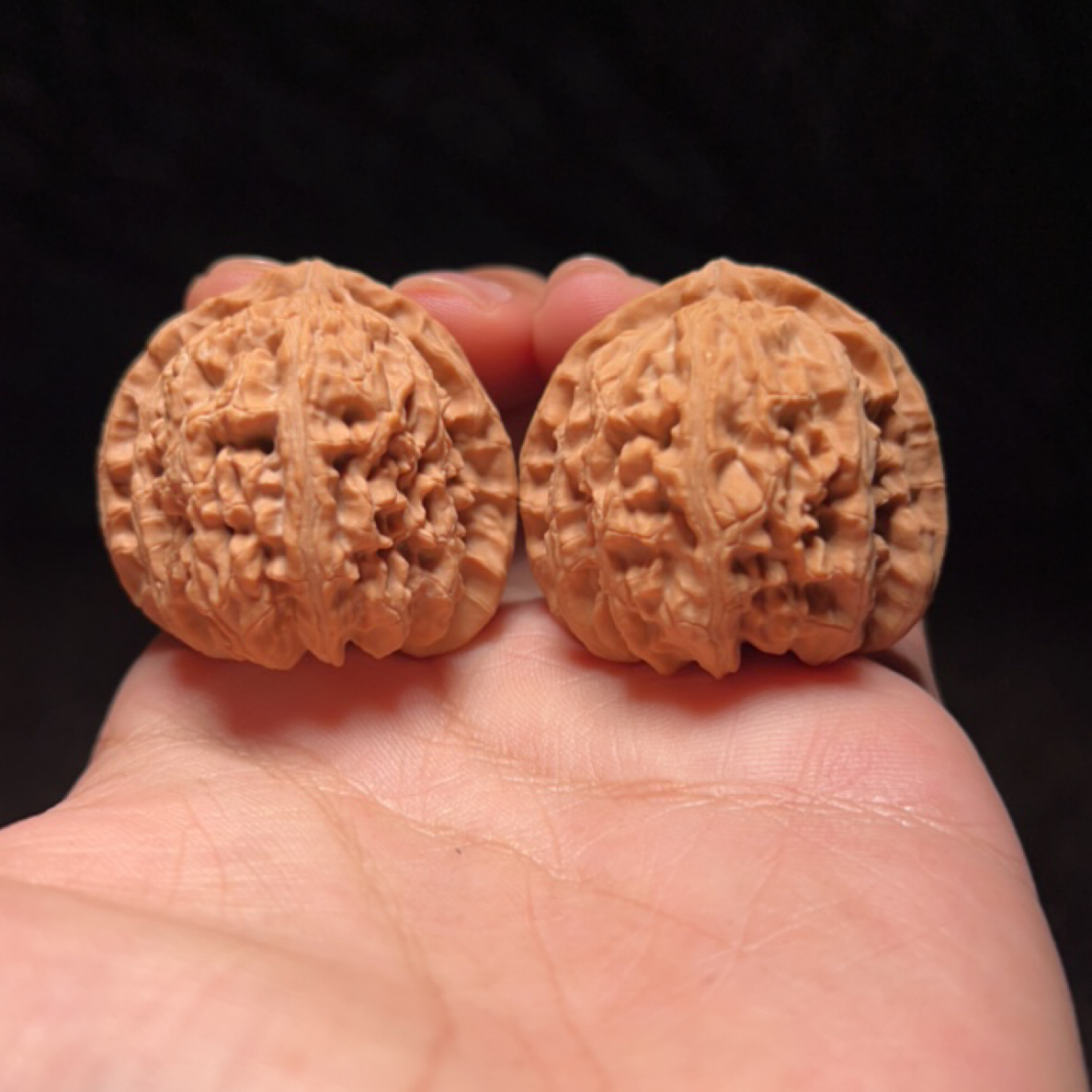 文玩核桃 延庆白狮子 9004号 39尺寸