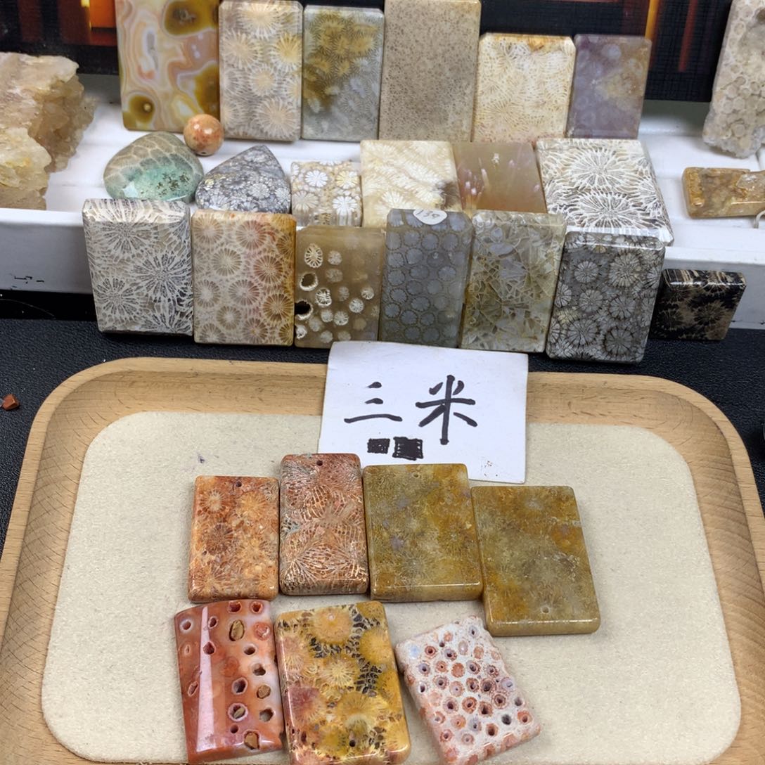 静***9未镶嵌无硅化珊瑚（珊瑚玉）