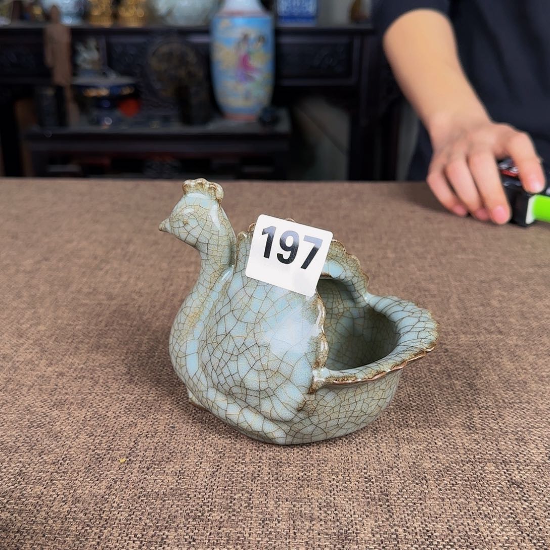 杯正能量满满的正能量