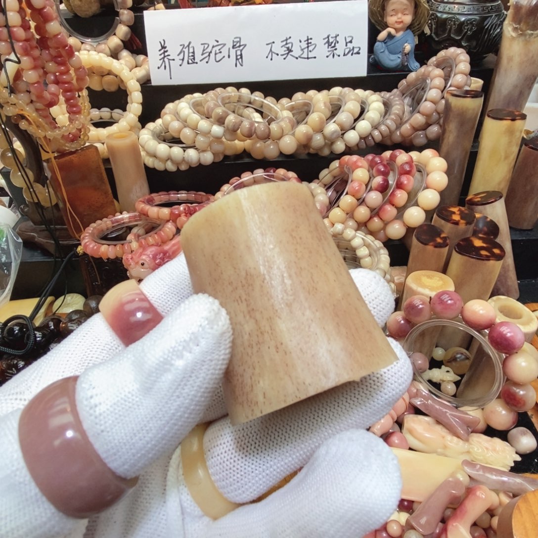 手串/手链驼骨切片