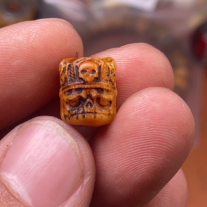 驼骨其他人工养殖