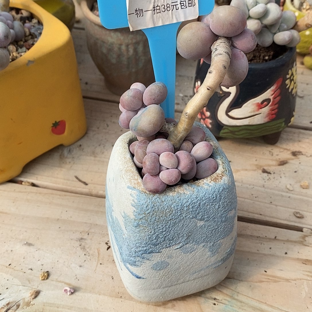 013哦某人骷髅想我嗯我