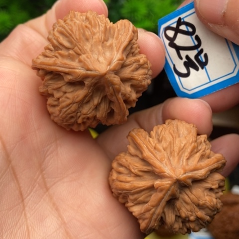 文玩核桃吊坠35玉龙粗筋