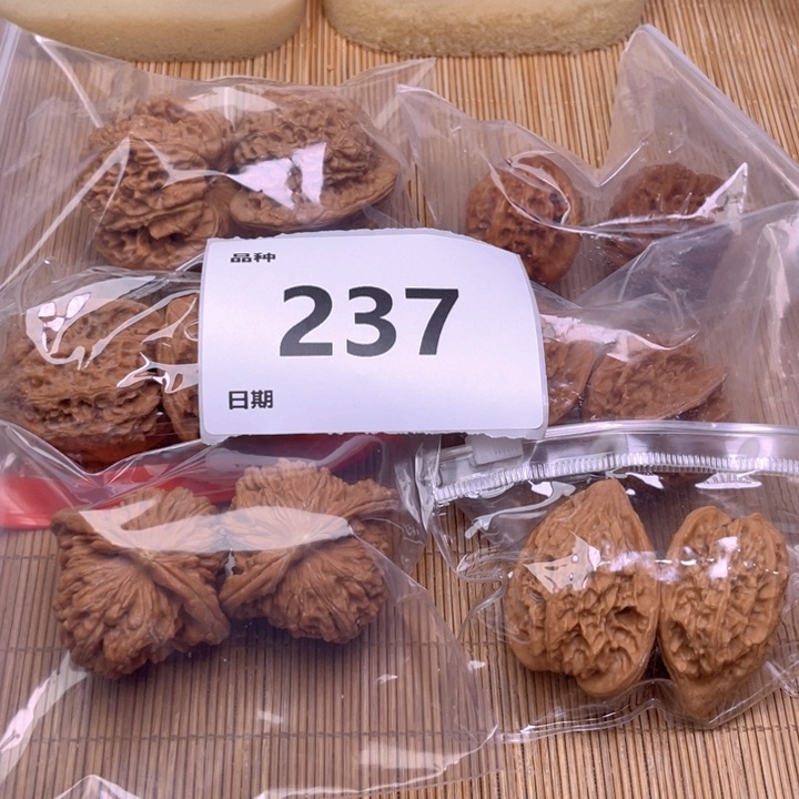 文玩核桃把件237号6对