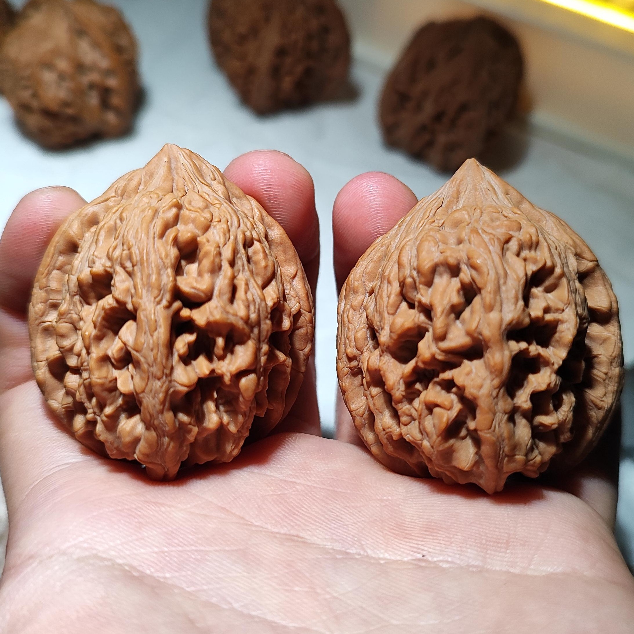 大沽石狮子头全品无修