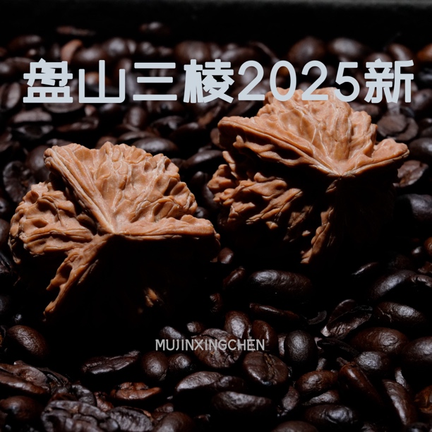 【木槿星辰】树王对【盘山三棱】精品高端三棱核桃文玩核桃手把件