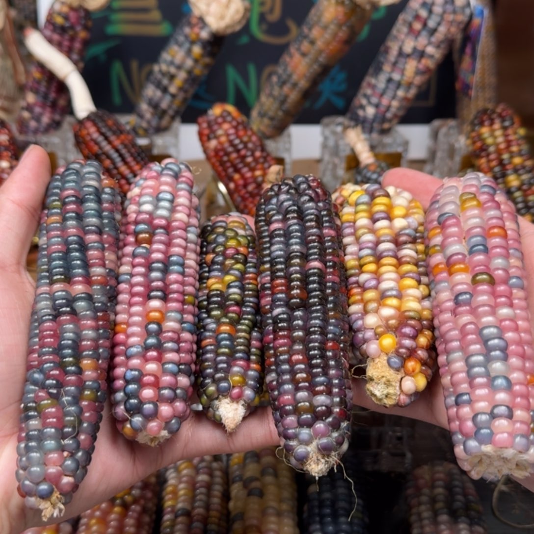 柏香籽/百香籽吊坠吕*悦