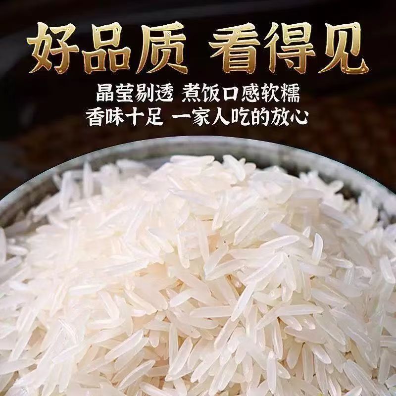 新鲜长粒猫牙香米煮饭软糯适合家庭食用的优质大米