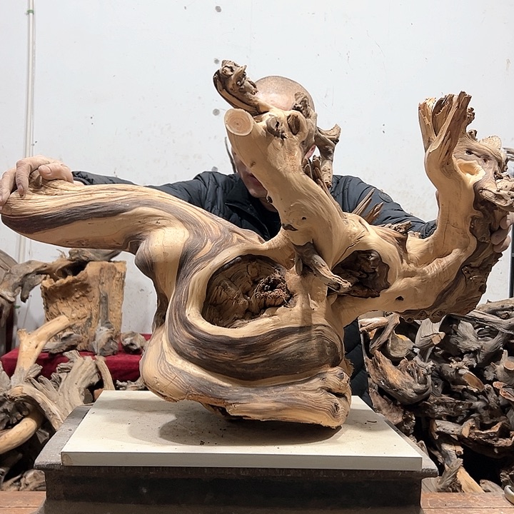 柏木富***3我们都是好孩子啊哈哈哈