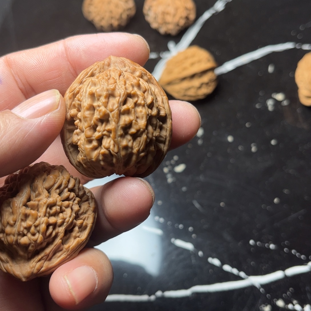 吊坠文玩核桃蚂蚁王