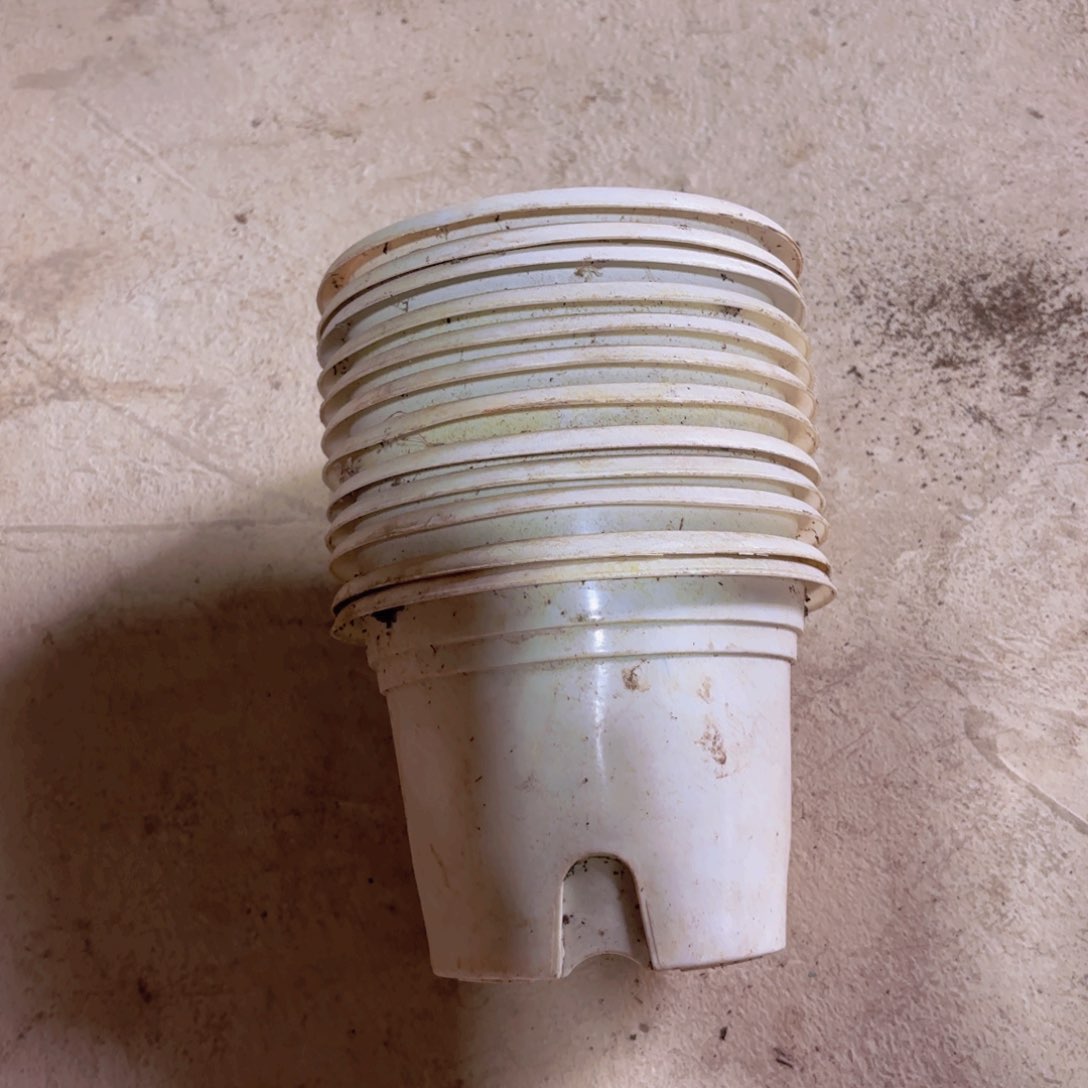 白圆盆150口径左右40个